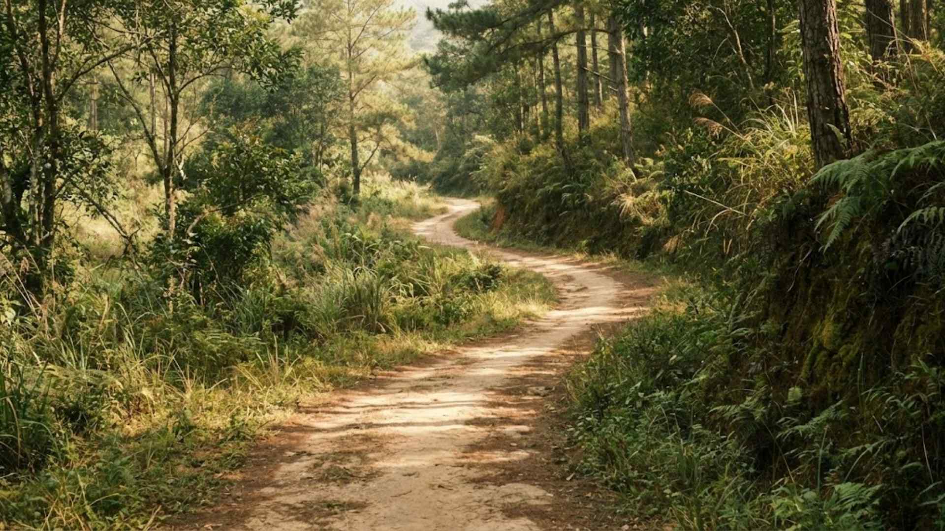 Nấc thang thứ ba: Tin tưởng vào dòng chảy cuộc đời