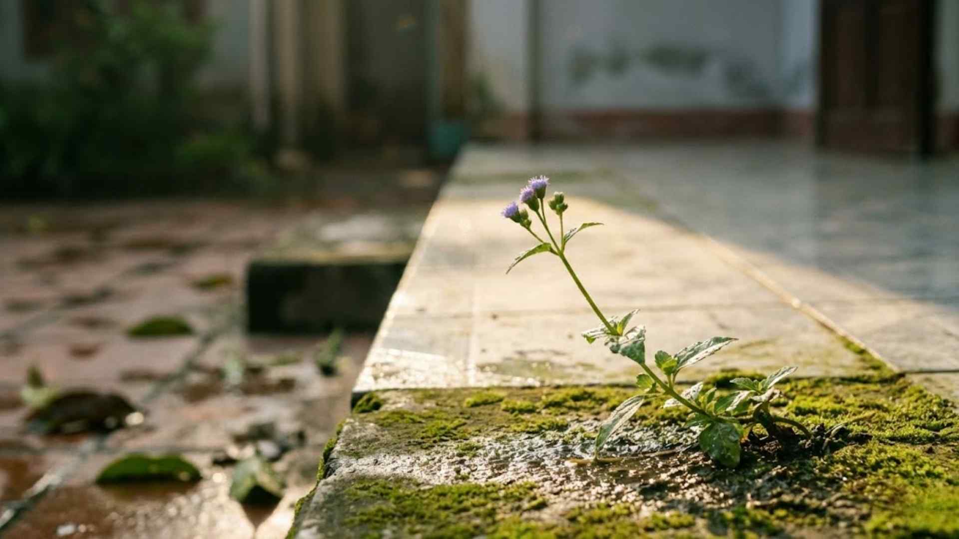 Định nghĩa lại về sức mạnh thực sự