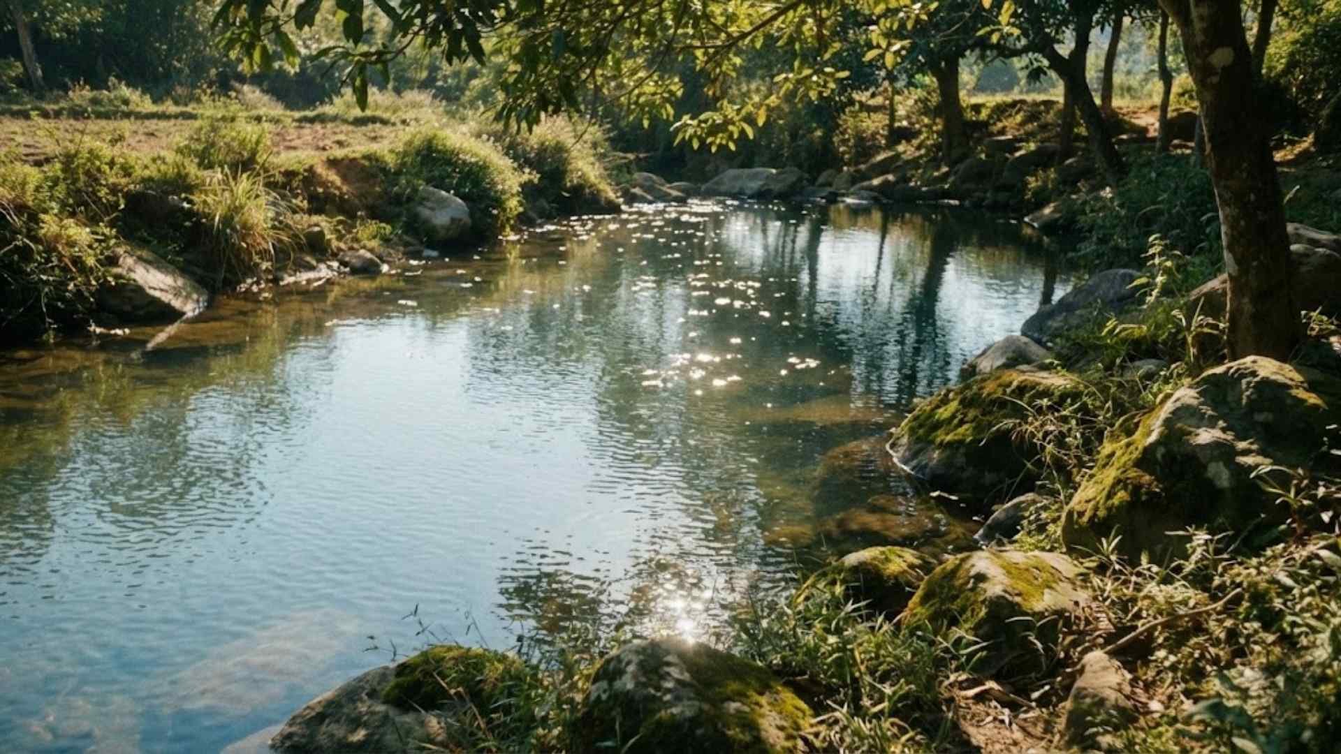 Sự dịu dàng là biểu hiện của nội lực vững chãi