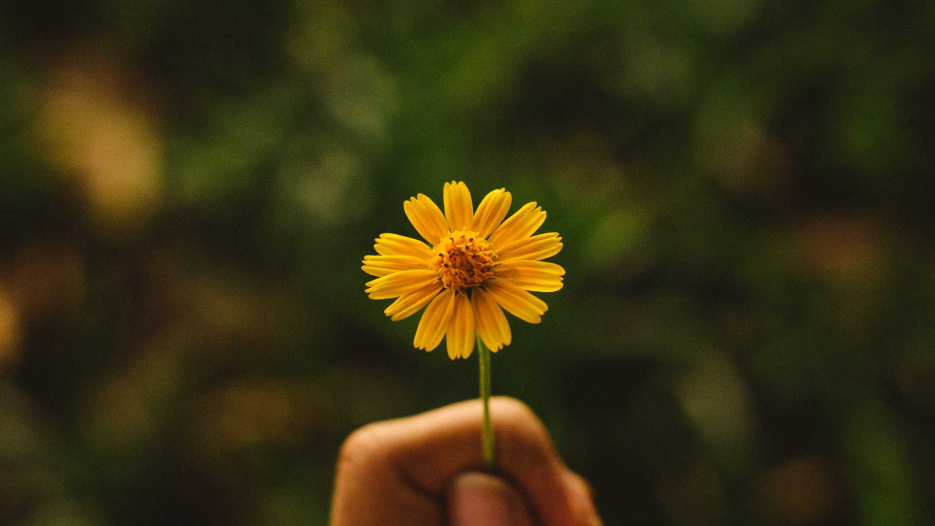 Kiên nhẫn và tình yêu thương là nguồn dinh dưỡng