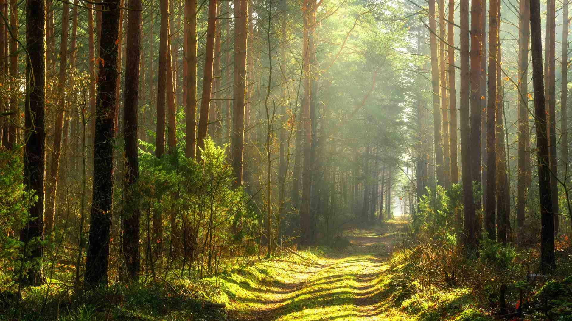 Chọn con đường bồi đắp mỗi ngày