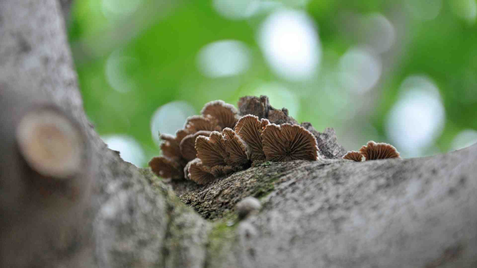 Để tổn thương tự lành theo nhịp điệu tự nhiên