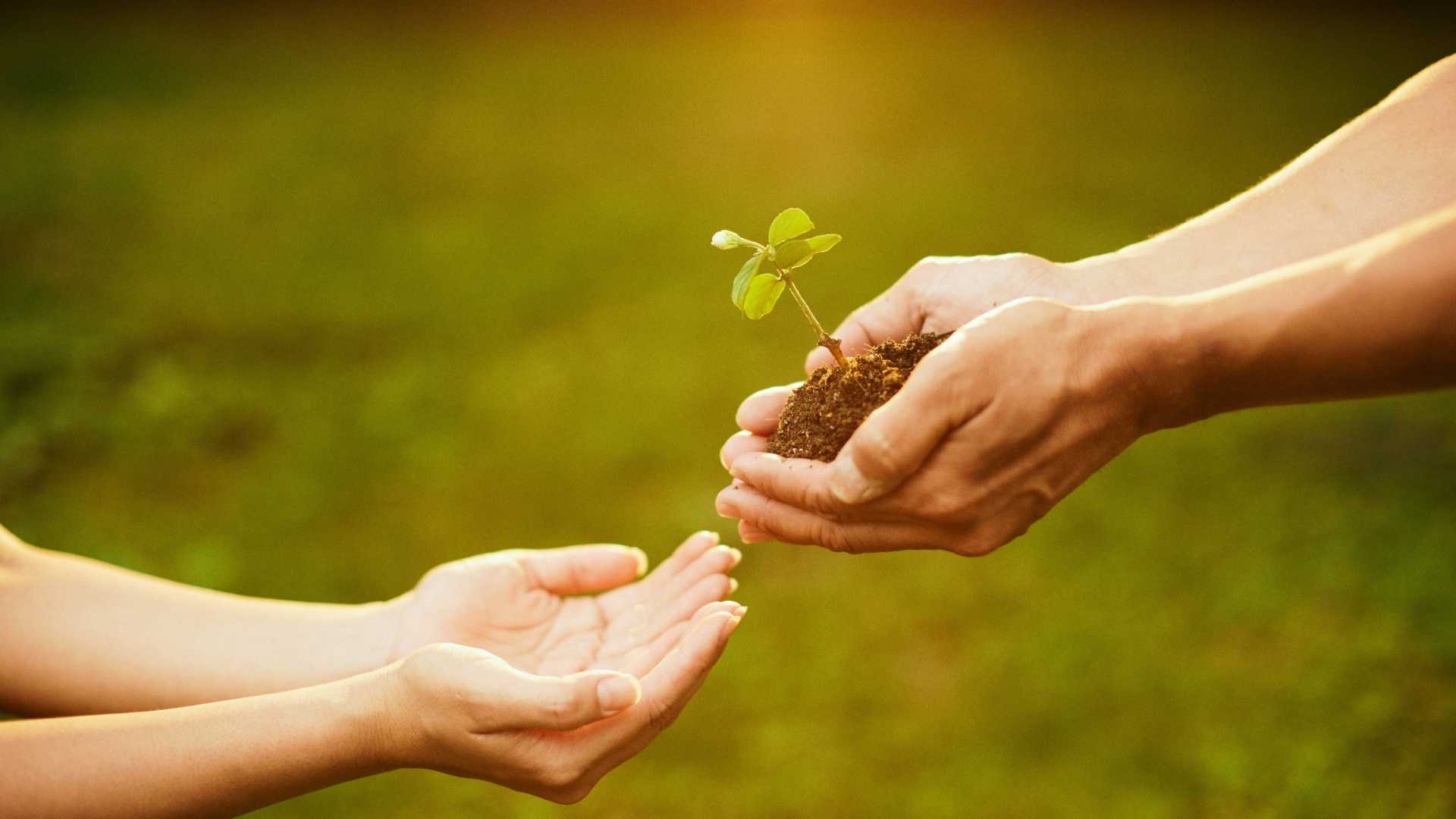 Sức mạnh của sự đồng hành và vòng tròn cho nhận