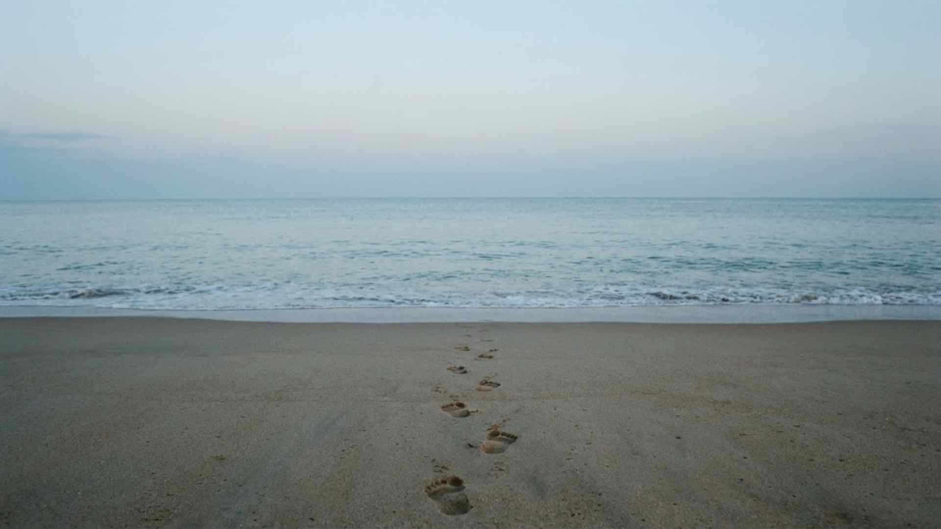 Khoảng cách được lấp đầy bằng những lựa chọn nhỏ