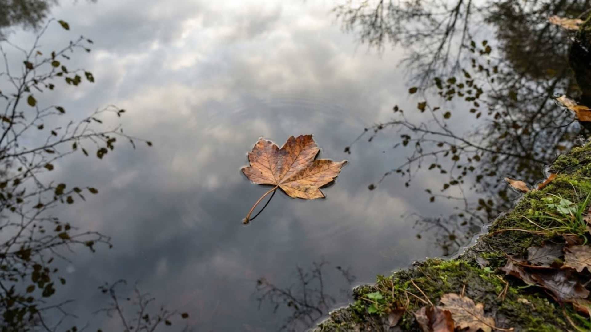 Thấu hiểu là một quá trình liên tục