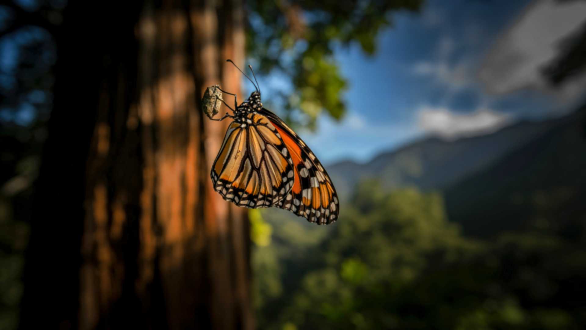 Sự chuyển hóa từ bên trong