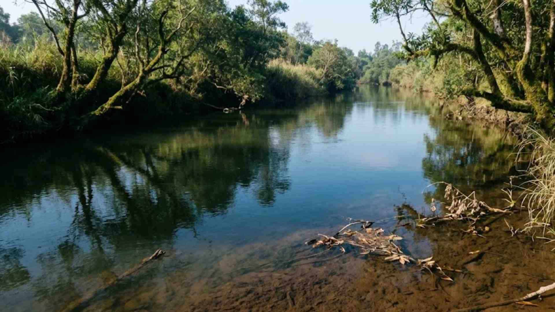 Sự lắng đọng để bồi đắp tâm hồn