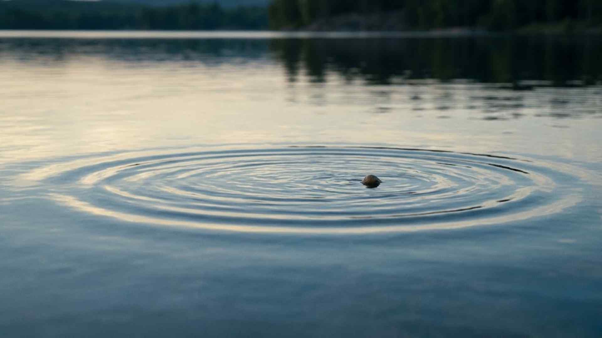 Sự thật giải phóng về cho và nhận