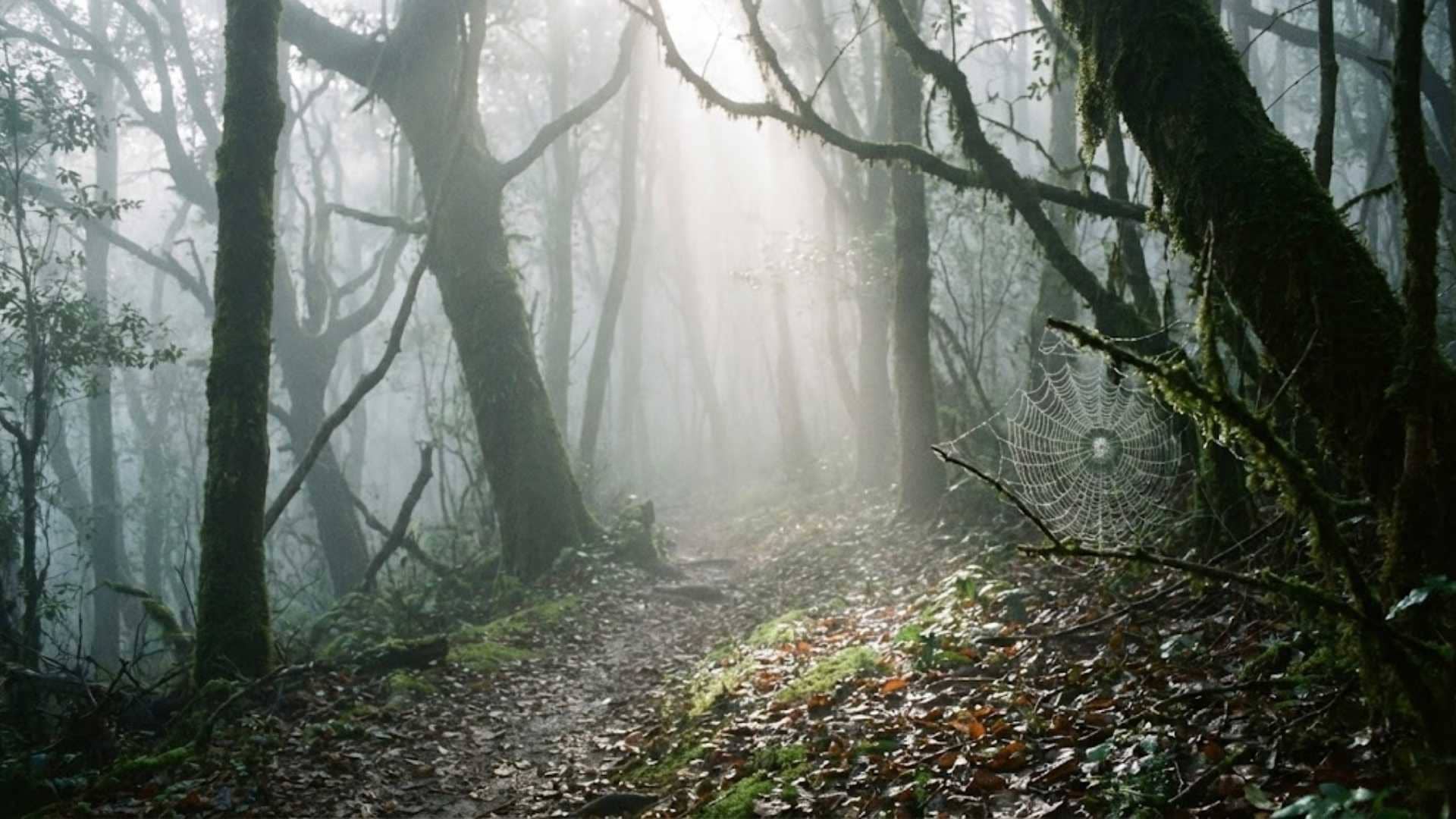 Đối diện với sự thật thay vì trốn tránh